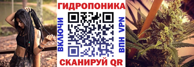 Канабис гибрид  Валдай 